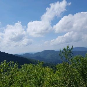 Meet your Posher, Callie